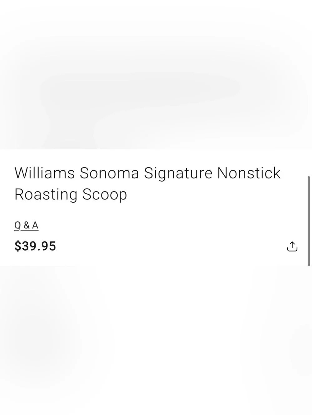 Williams Sonoma Signature Nonstick Roasting Scoop